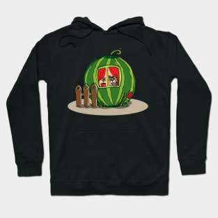 watermelon house Hoodie